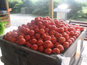 tomatoes